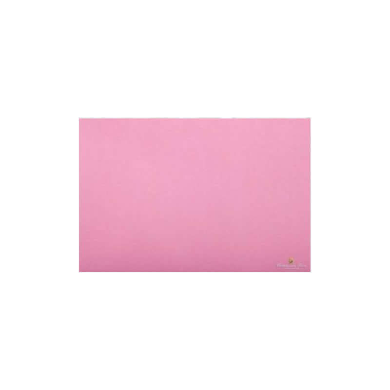 Carta Velina Colore Rosa Salmonato Numero 10 Formato 50x76 cm 24 Fogli