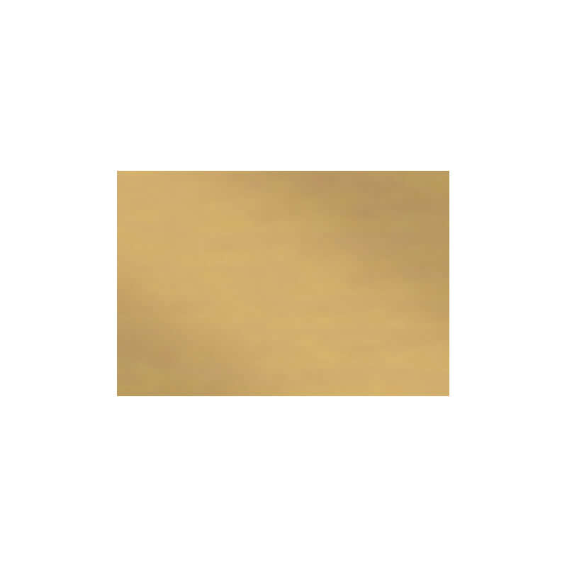 Carta Velina Colore Oro Formato 50 x 76 cm 24 Fogli