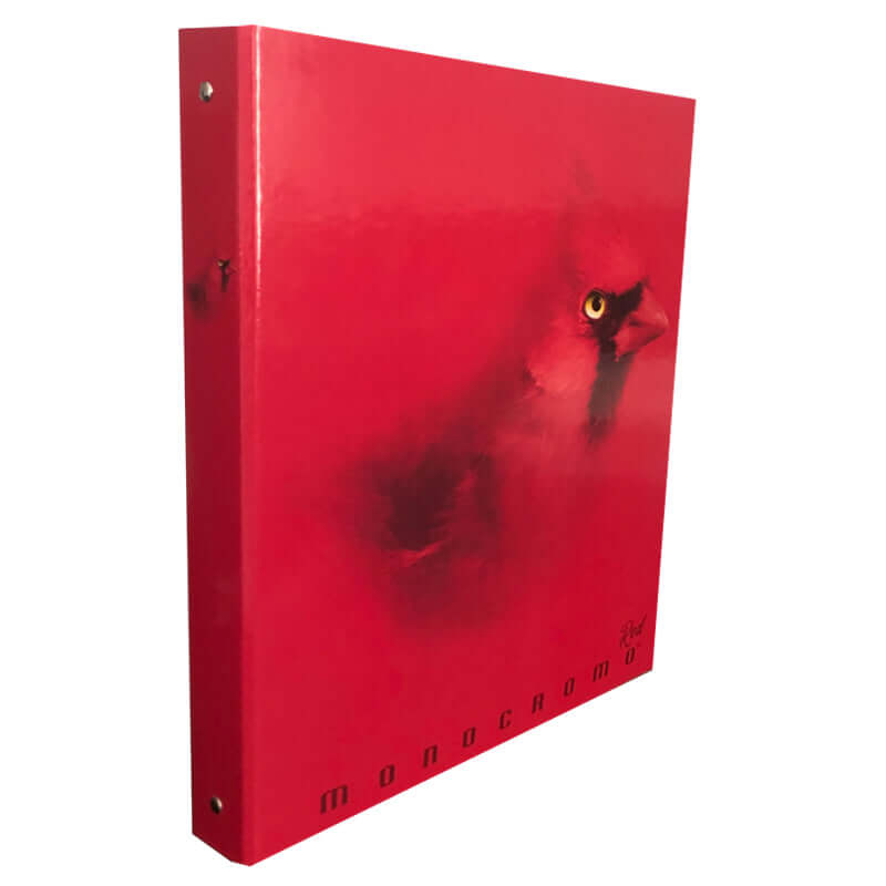 Raccoglitore ad Anelli Pigna Monocromo Red Formato Maxi con 4 anelli da 30 mm Fantasia Uccellino