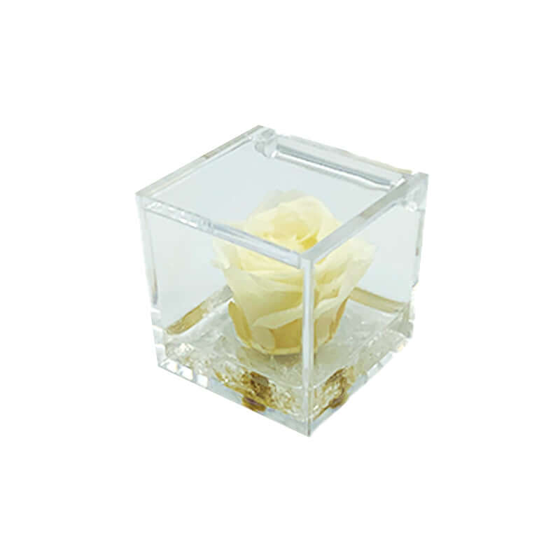 Rosa Stabilizzata Colore Bianco in Cubo di Plexiglass Dimensioni 5 x 5 cm