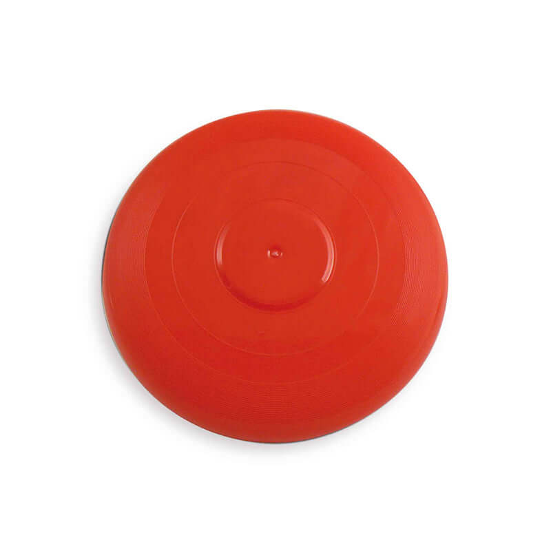 Frisbee Colori Assortiti