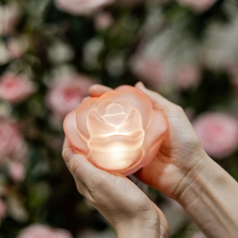 Lampada LED Moderna Rosa Hervit