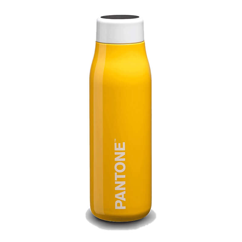 Borraccia Termica Pantone Caldo Freddo 500 ml con Display Digitale Touch Screen