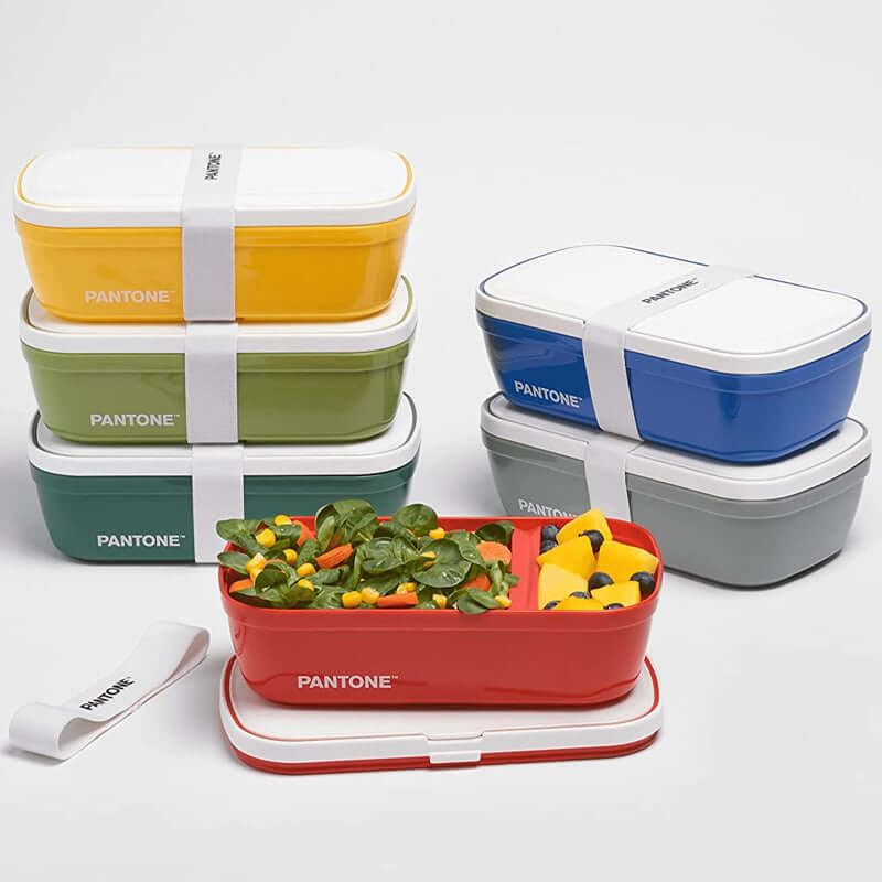 Portapranzo Lunch Box Pantone Stile Bento con Divisorio Interno Colore Rosso