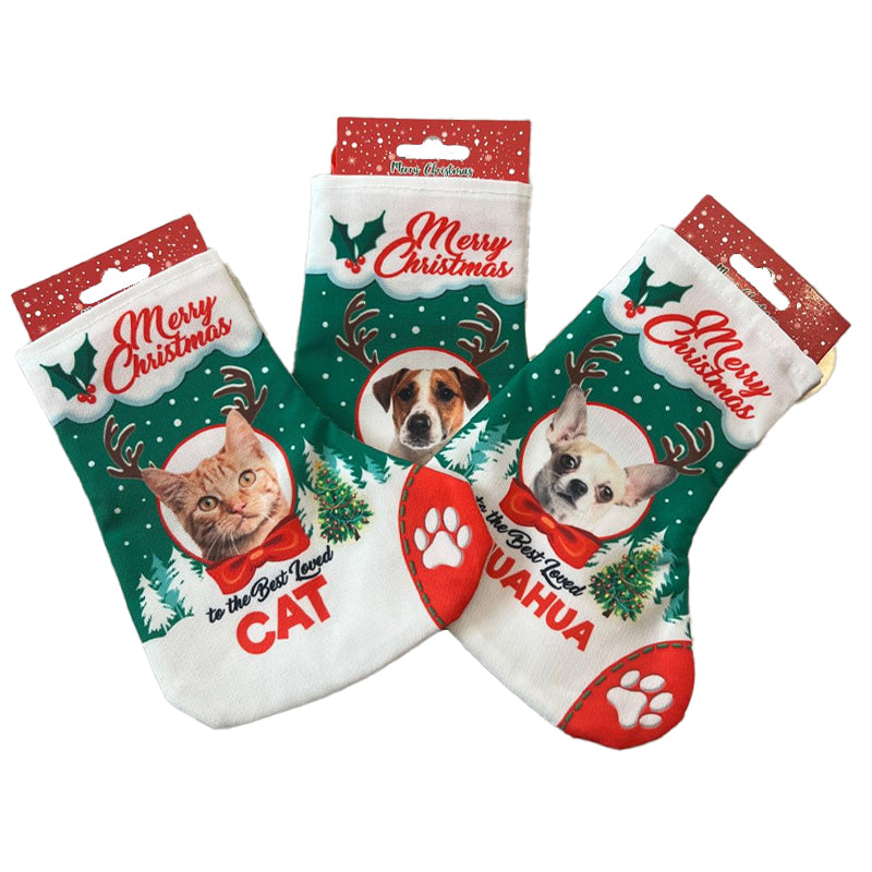 Calza per Regali Cane e Gatto