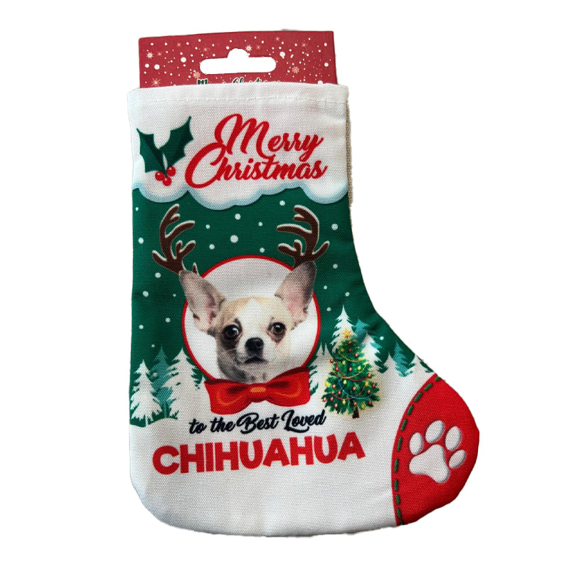 Calza per Regali Cane e Gatto