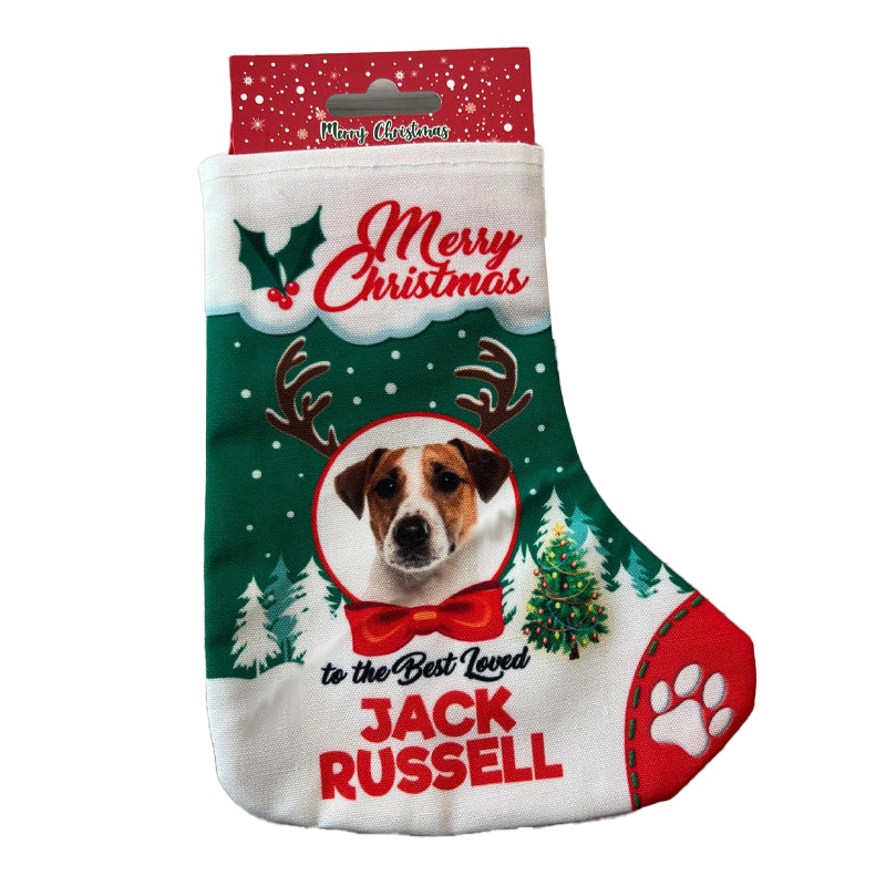 Calza per Regali Cane e Gatto