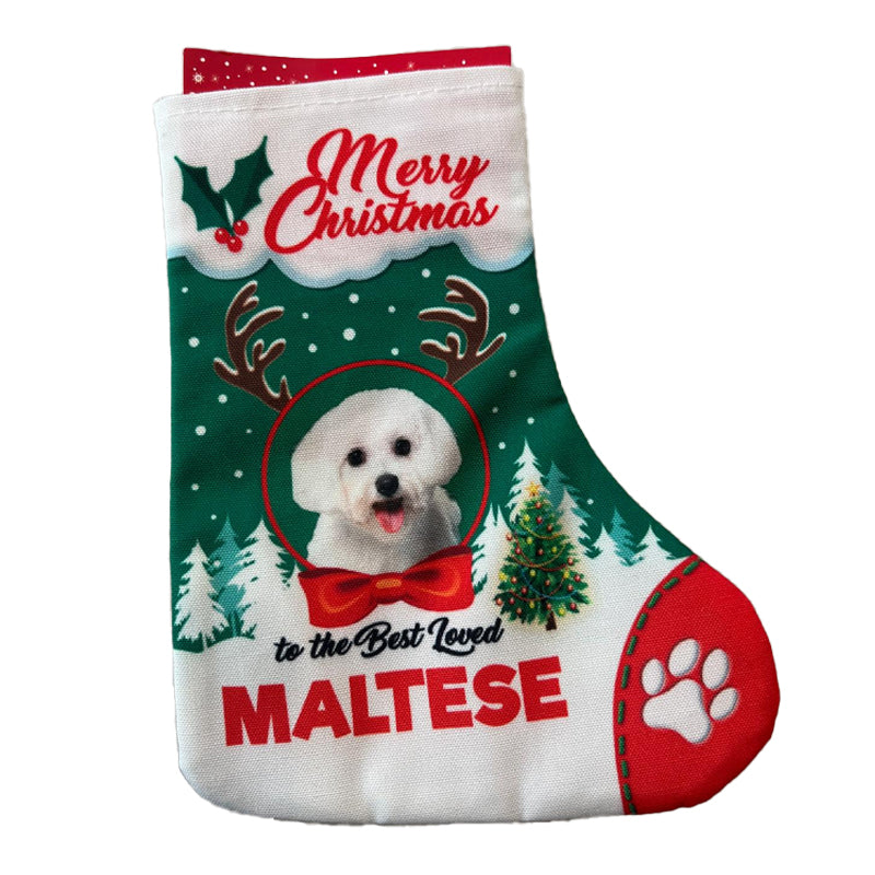 Calza per Regali Cane e Gatto