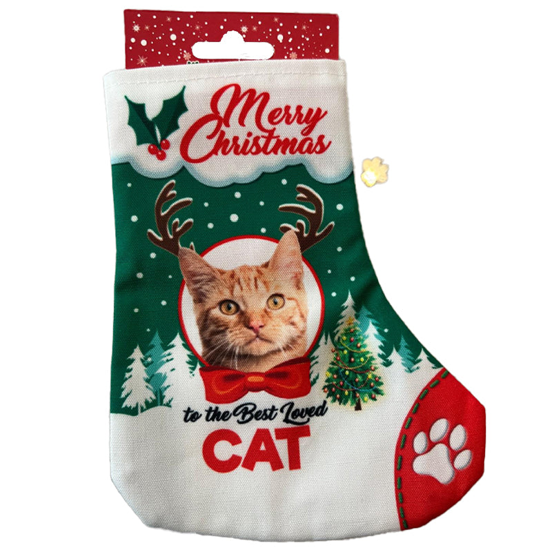 Calza per Regali Cane e Gatto