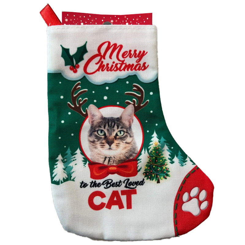 Calza per Regali Cane e Gatto