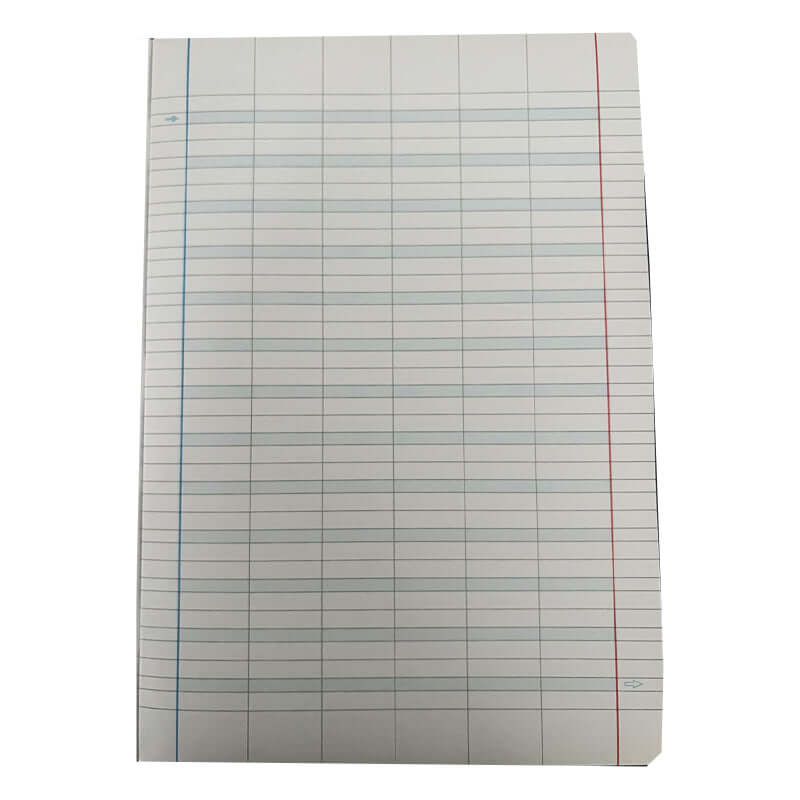 Quaderni per DSA 100 g Tinta Unita Formato Maxi