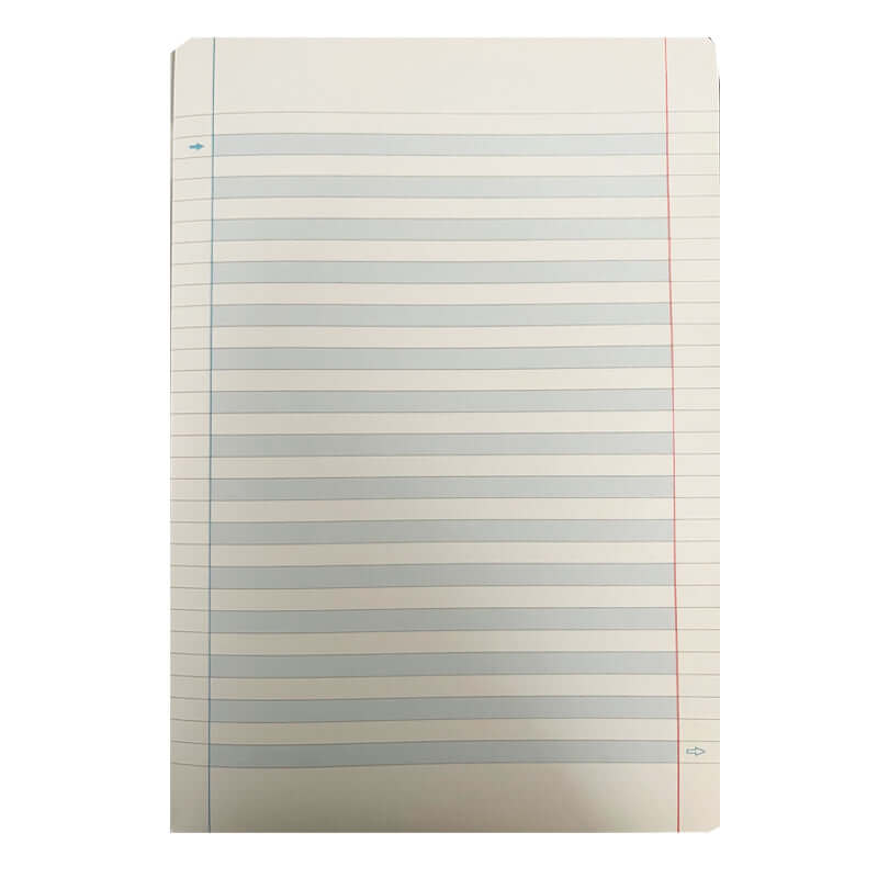 Quaderni per DSA 100 g Tinta Unita Formato Maxi