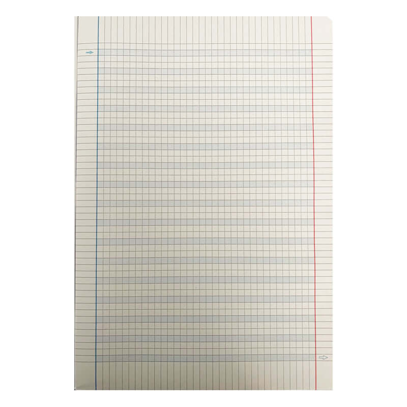 Quaderni per DSA 100 g Tinta Unita Formato Maxi