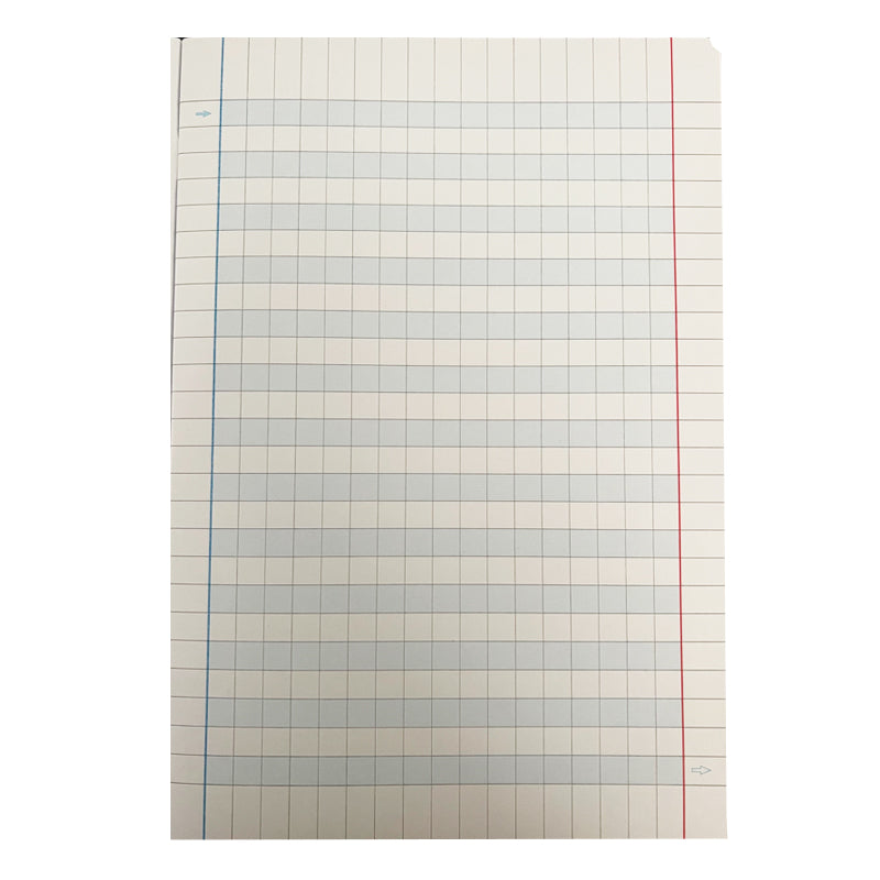 Quaderni per DSA 100 g Tinta Unita Formato Maxi