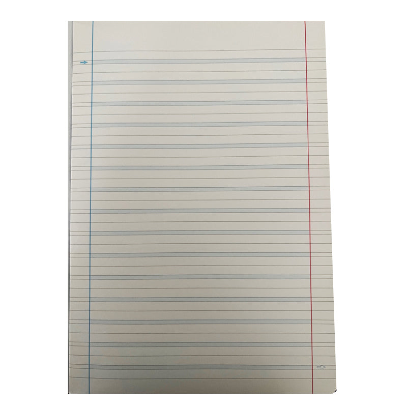 Quaderni per DSA 100 g Tinta Unita Formato Maxi