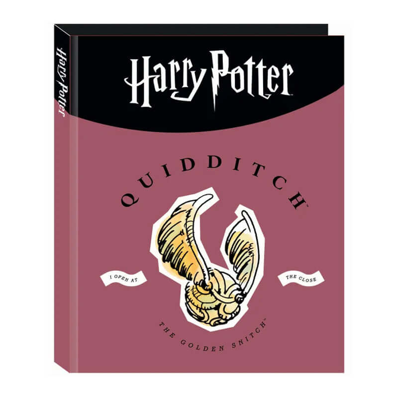 Raccoglitore ad Anelli Harry Potter Hogwarts Quidditch Formato Maxi con 4 anelli da 30 mm