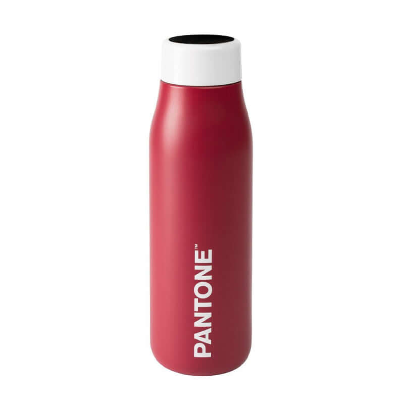Borraccia Termica Pantone Caldo Freddo 500 ml con Display Digitale Touch Screen