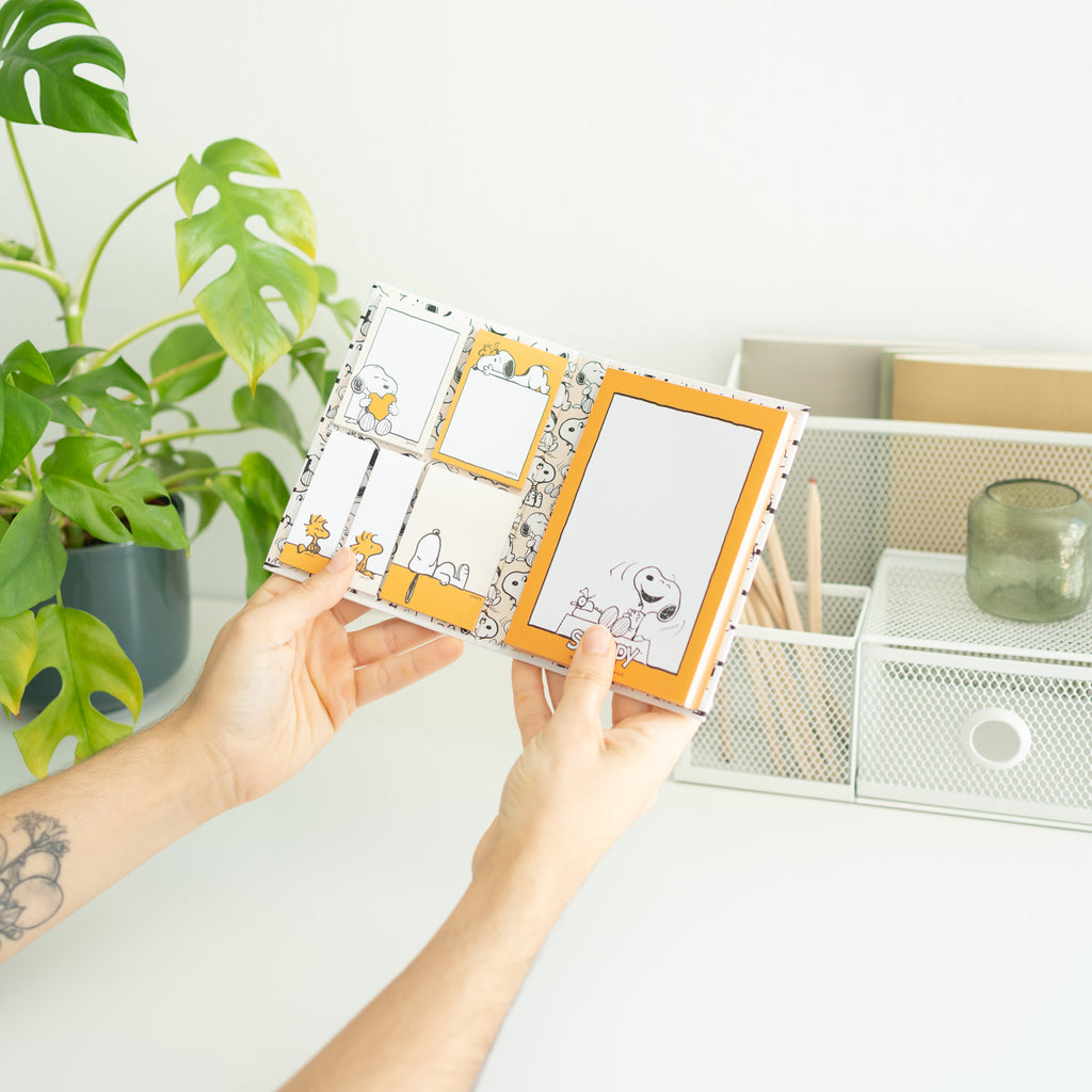 Set Blocchetti Adesivi Snoopy Peanuts