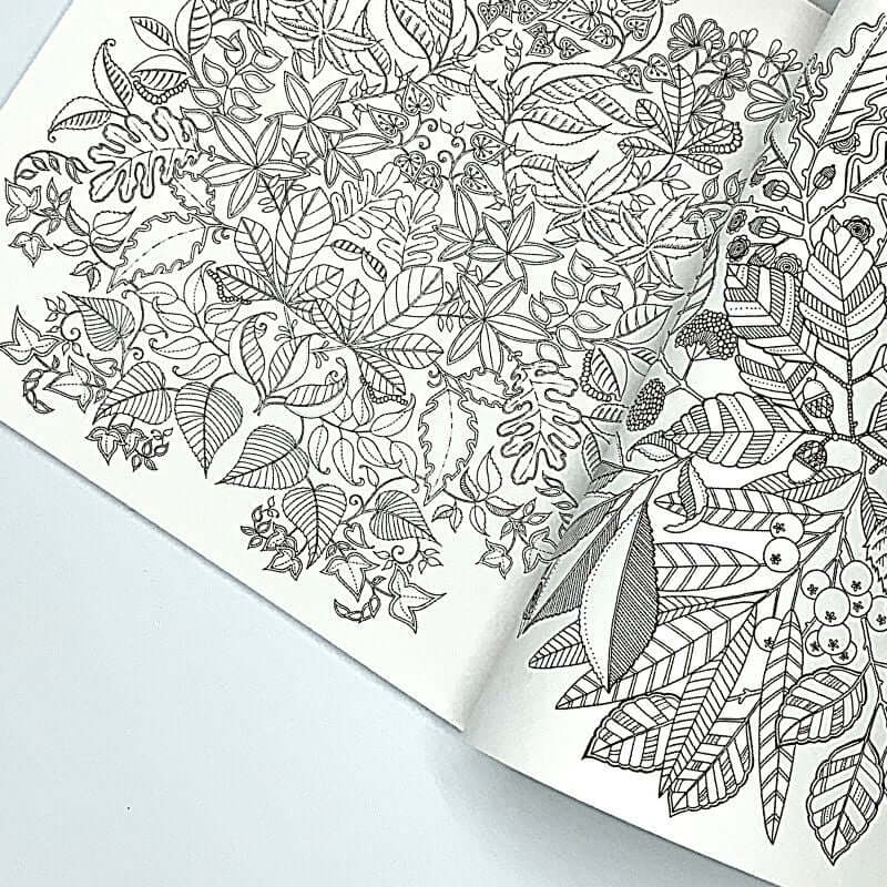 Libro Antistress da Colorare per Secret Garden