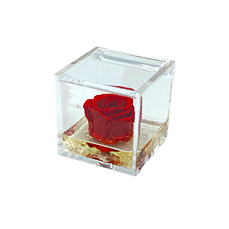 Rosa Stabilizzata Colore Rosso in Cubo di Plexiglass Dimensioni 5 x 5 cm