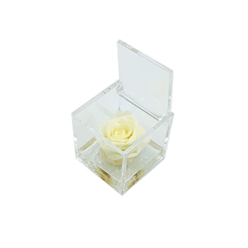 Rosa Stabilizzata Colore Bianco in Cubo di Plexiglass Dimensioni 5 x 5 cm