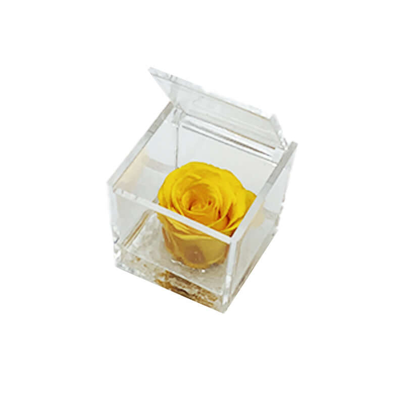 Rosa Stabilizzata Colore Giallo in Cubo di Plexiglass Dimensioni 5 x 5 cm