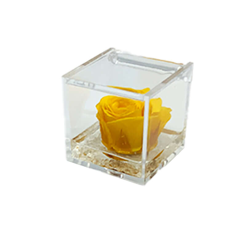 Rosa Stabilizzata Colore Giallo in Cubo di Plexiglass Dimensioni 5 x 5 cm