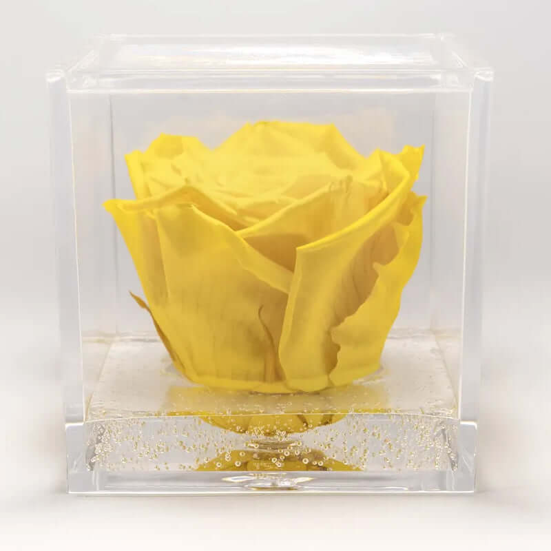 Rosa Stabilizzata Colore Giallo in Cubo di Plexiglass Dimensioni 5 x 5 cm