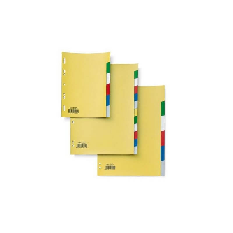 Divisori in Plastica Formato Quaderno Piccolo 15 x 21 cm 6 Colori